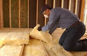 Best Insulation Removal  in Pupukea, HI